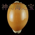 神奇海之宝 店铺LOGO