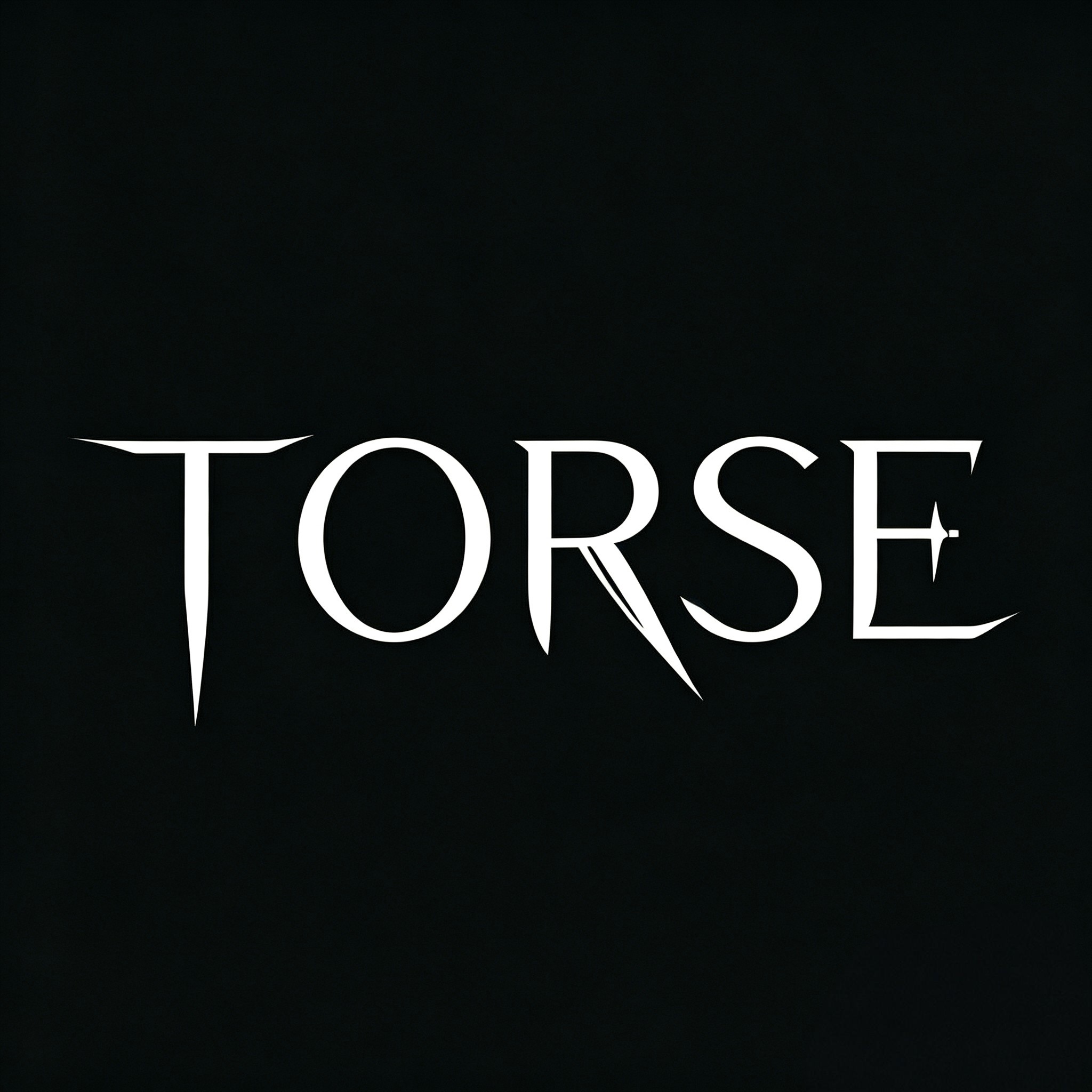 TORSE图峙