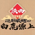 白鹿塬上