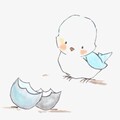 暖心萌宠成长记