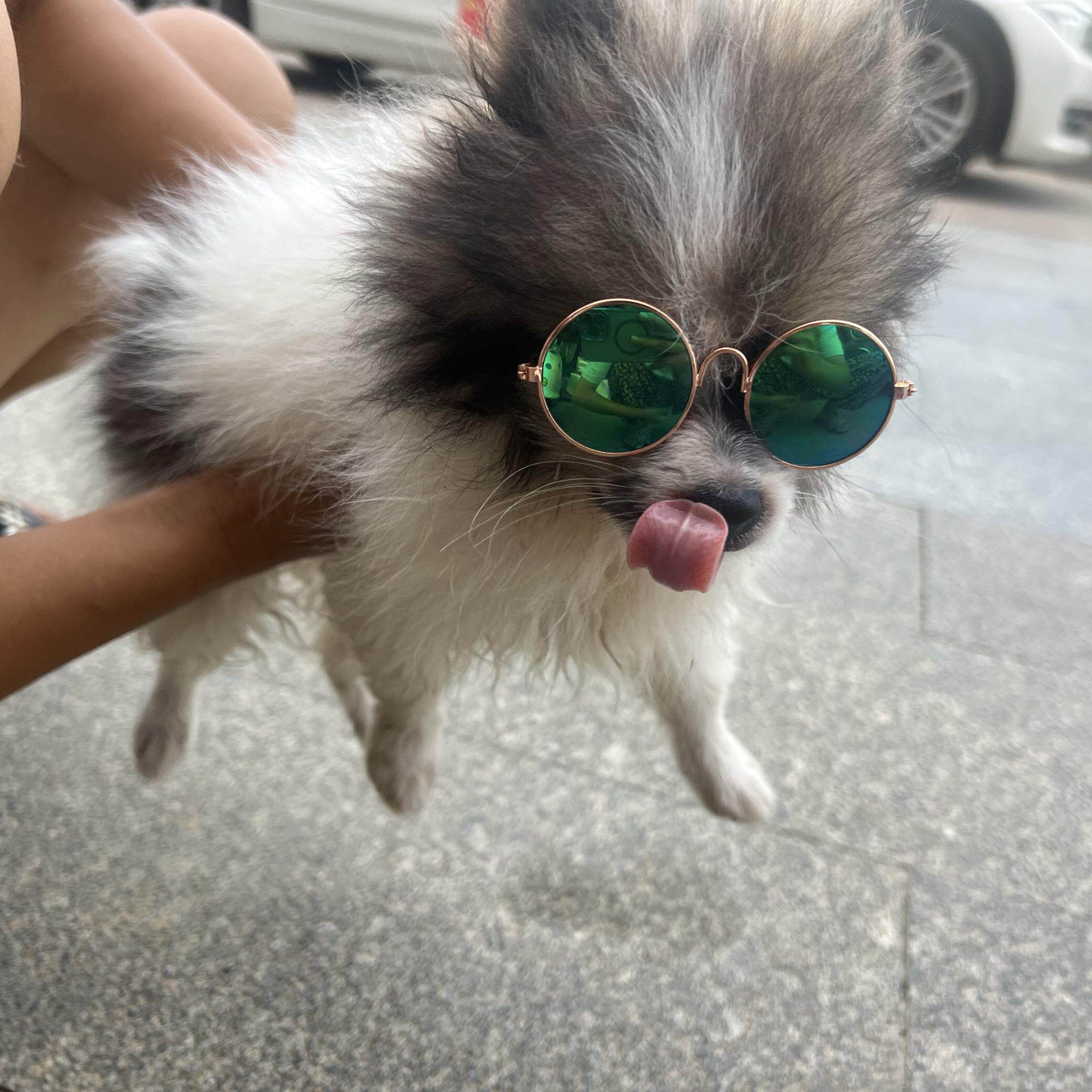 晚聪明的店