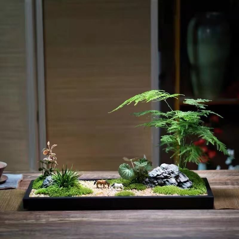 草恣繁花
