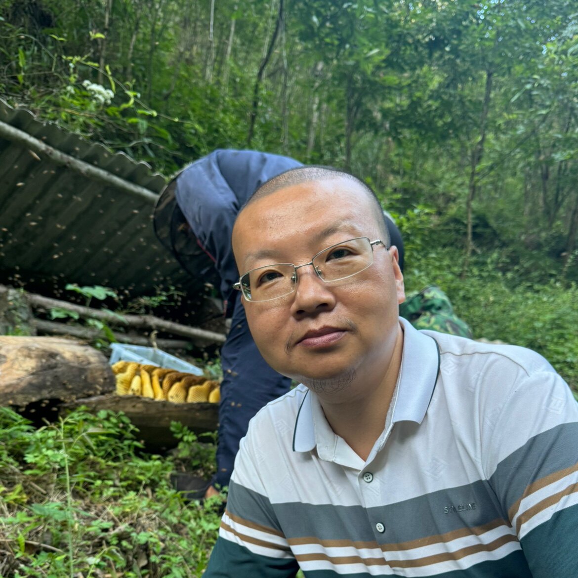 天汉蜜坊秦岭老袁