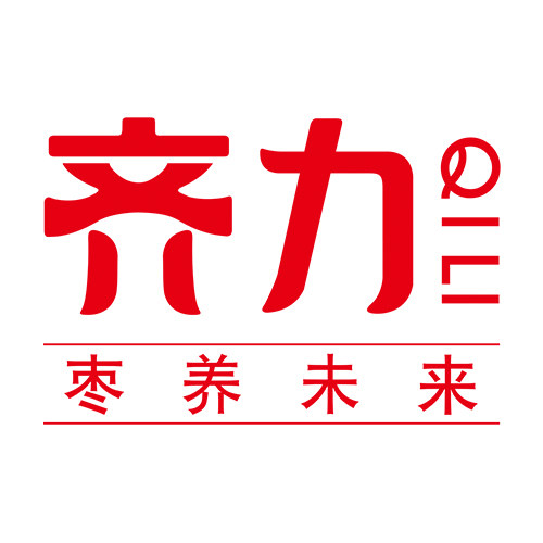 齐力旗舰店 店铺LOGO