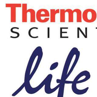 Thermo试剂