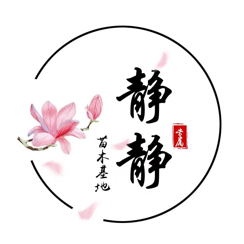 杭州静静苗木基地