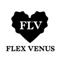 flv旗舰店