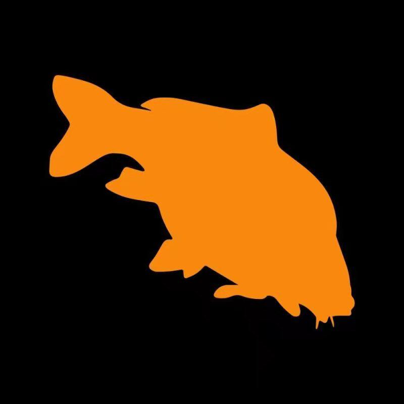 欧鲤钓EuroCarp