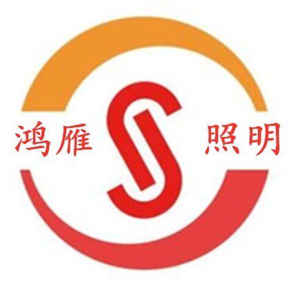 鸿雁电力