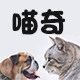 喵奇宠物用品