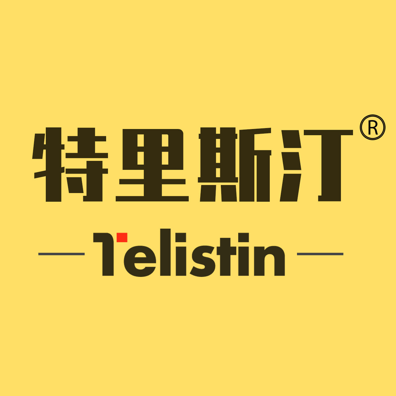 特里斯汀旗舰店
