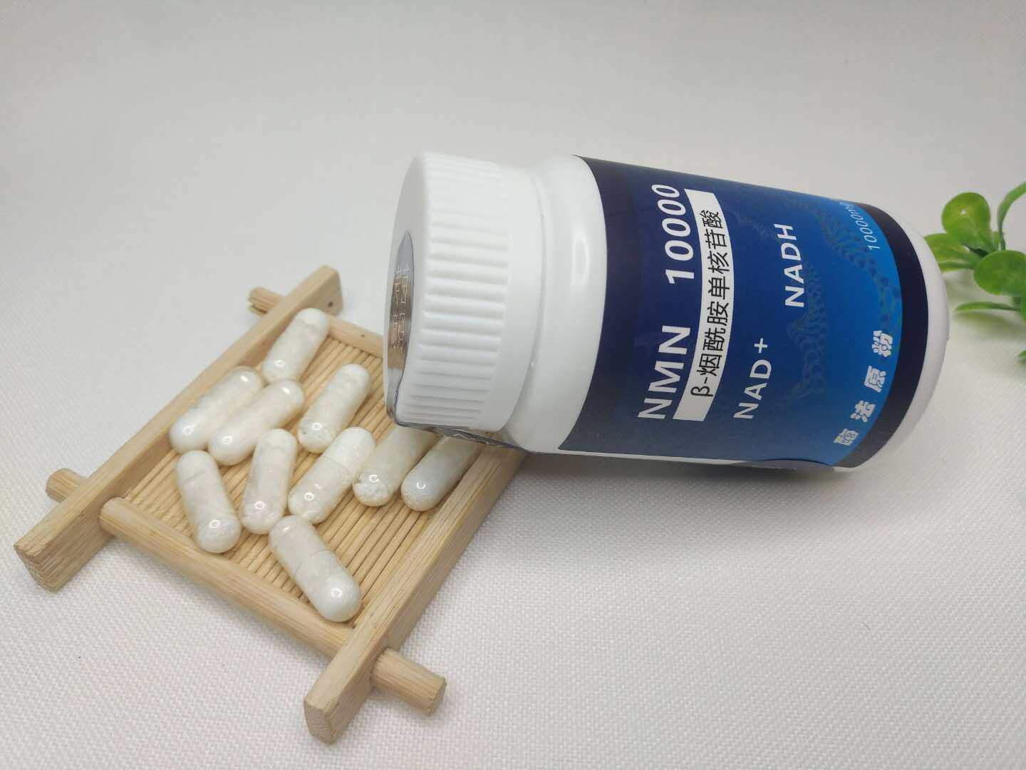 格瑞生物科技投资NAD