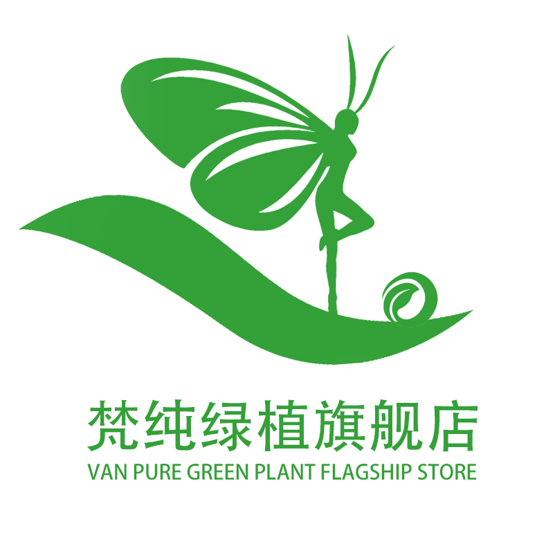 梵纯绿植旗舰店