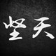坚天旗舰店