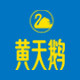 黄天鹅旗舰店
