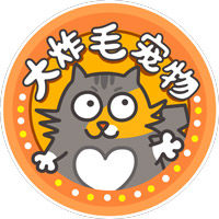 大炸毛宠物