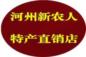 河州特产直销店