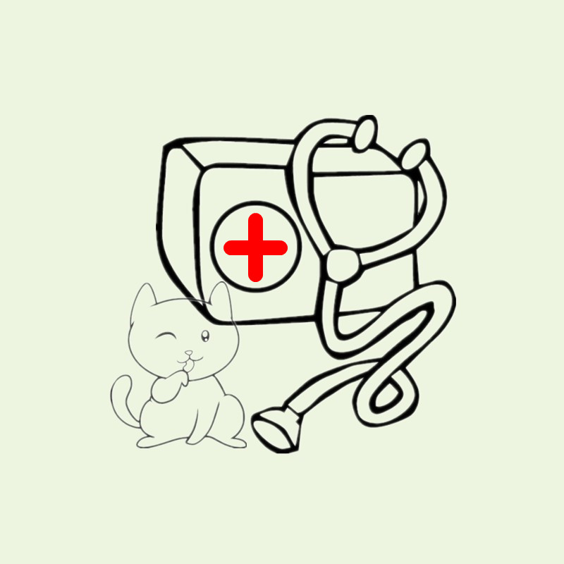喵猫毛