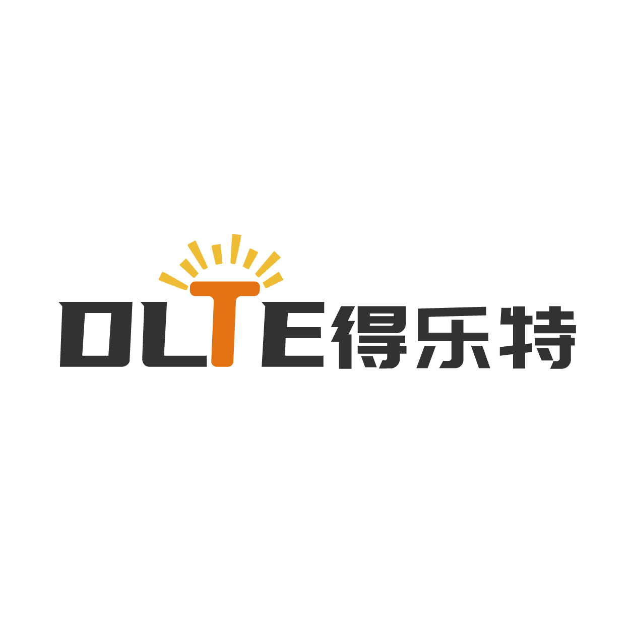 DLTE灯具照明店