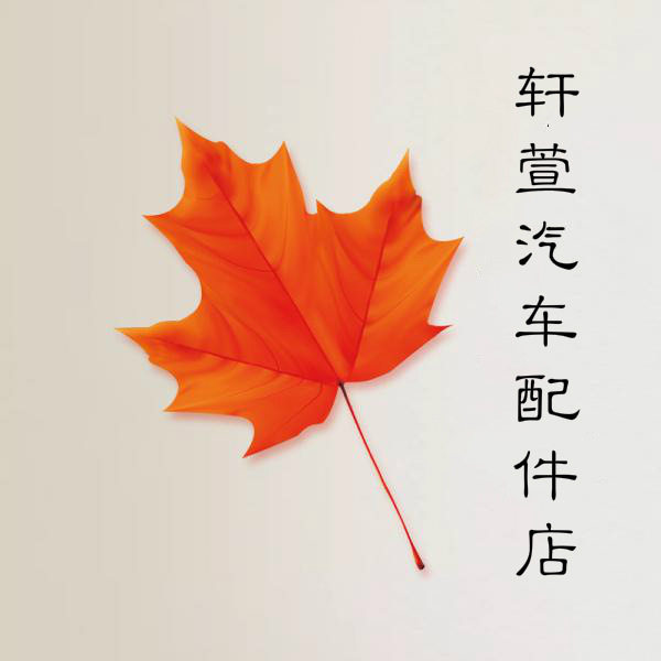 轩萱汽车配件用品店