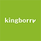 kingborry旗舰店