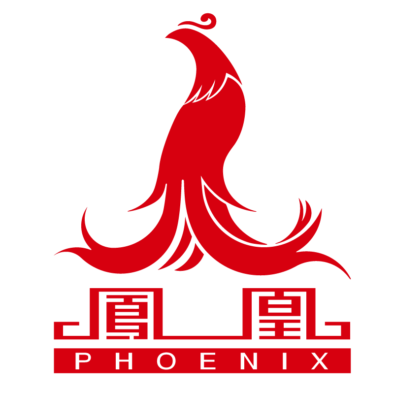 凤凰童车一店