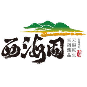 西海固旗舰店