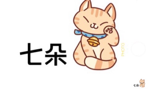七朵猫家居