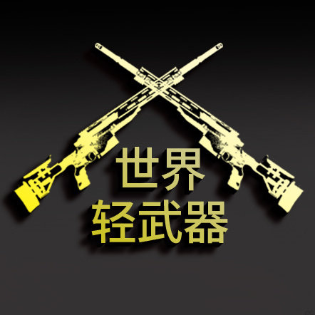 世界轻武器