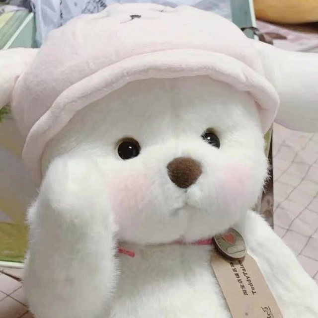 夏日黎明将起