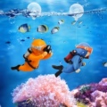 鱼多欢水族配件造景店