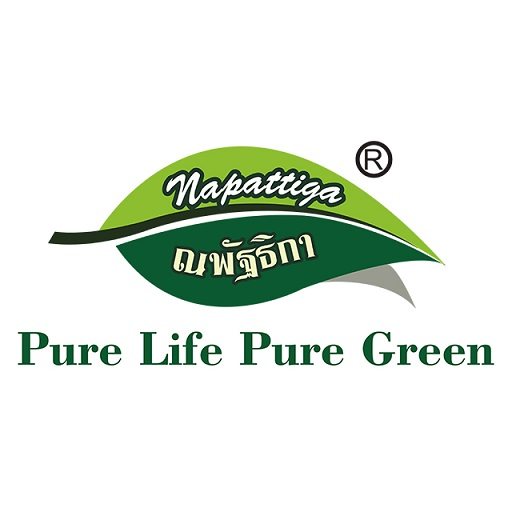 napattiga旗舰店