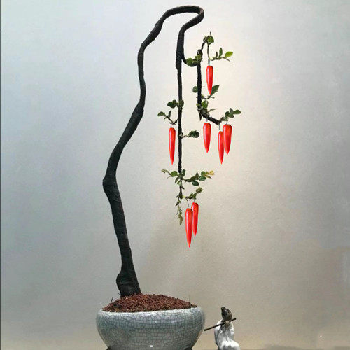 春天里小品
