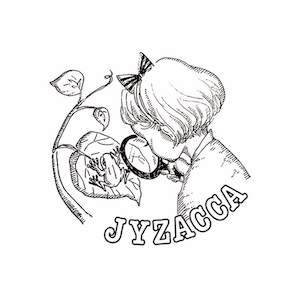 JYZACCA 店铺LOGO