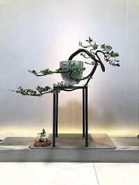 古惑仔盆景店