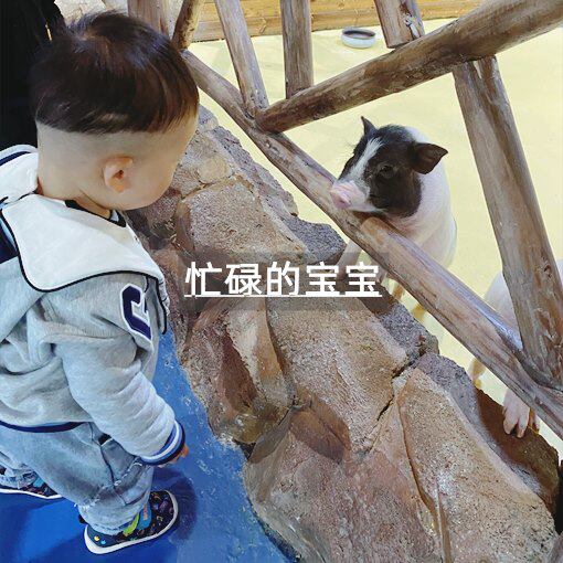 忙碌的宝宝