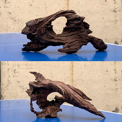 一木一景宠物用品水族店