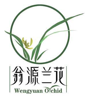 翁源兰花小镇