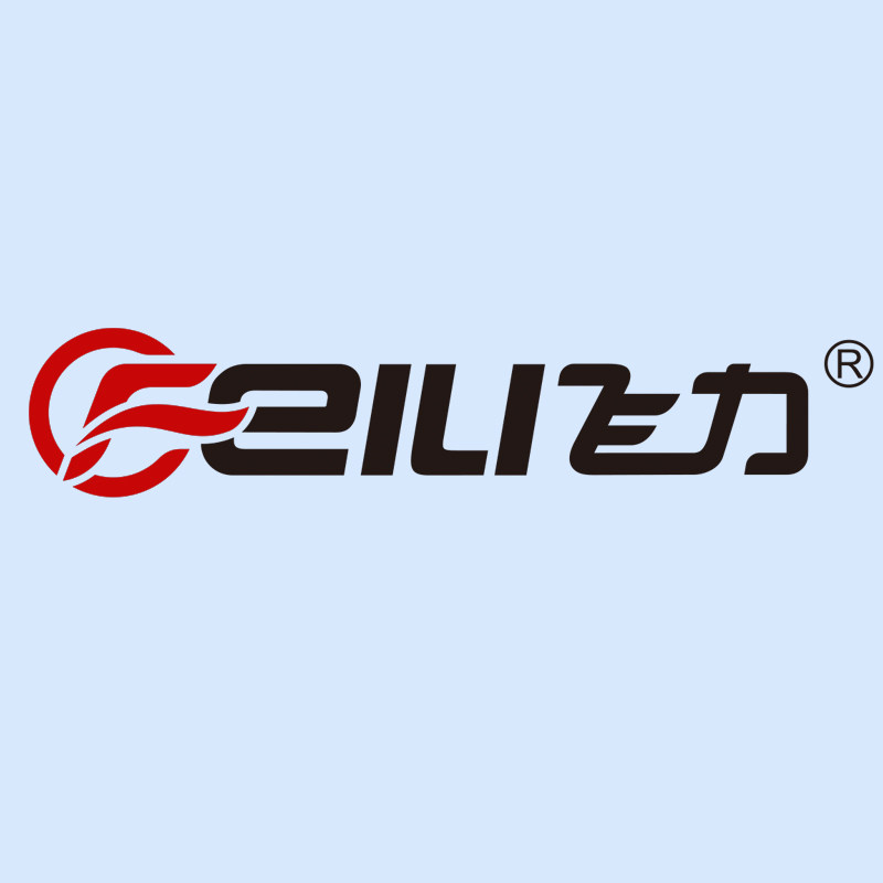飞力旗舰店