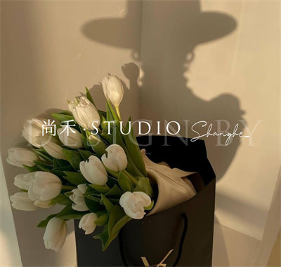 尚禾Studio
