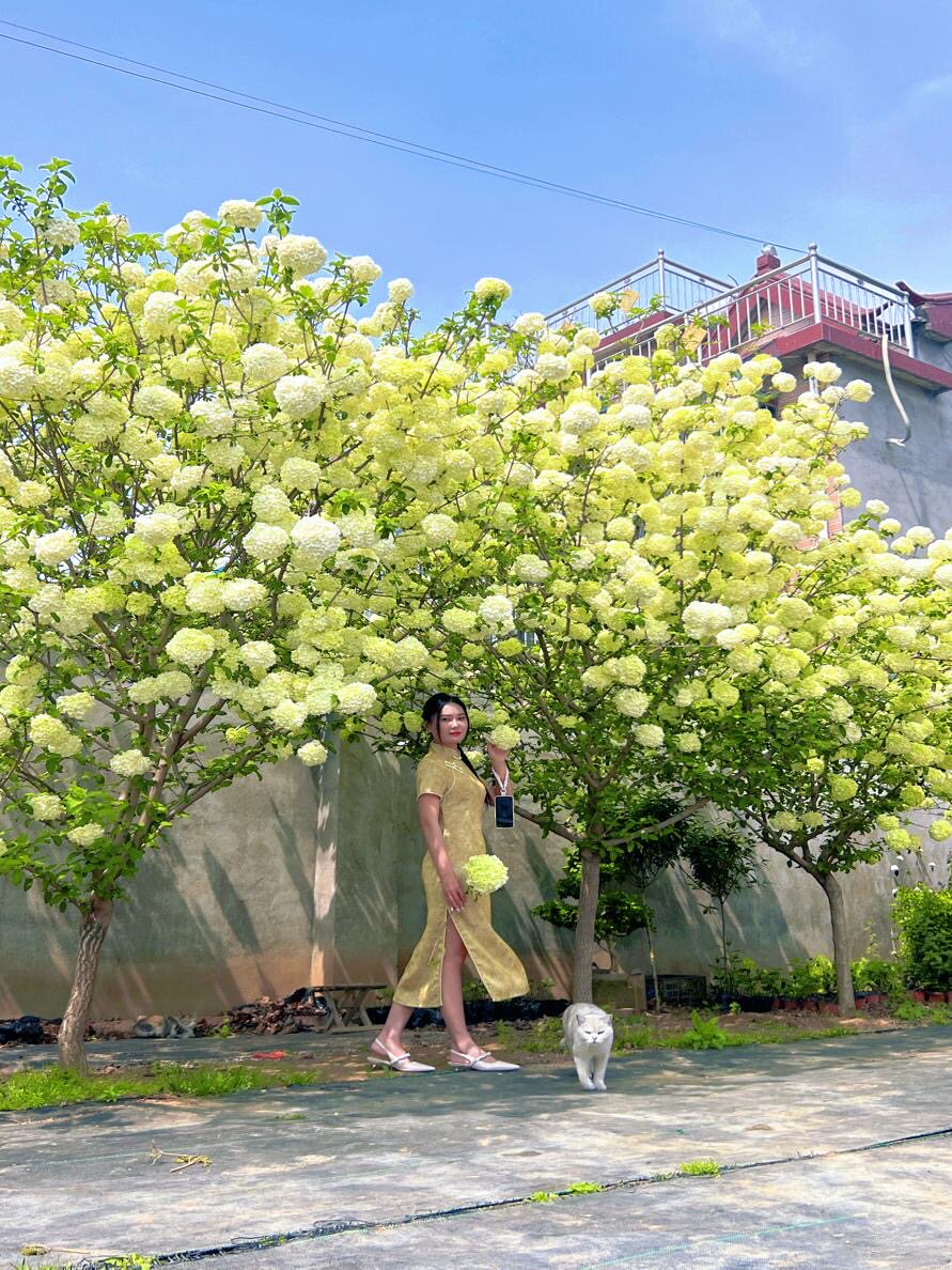 花乡百货店