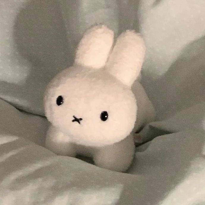 Miffy Daily