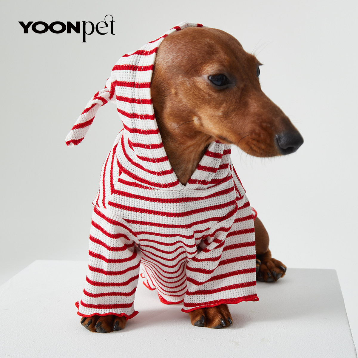 YOONpet 店铺LOGO
