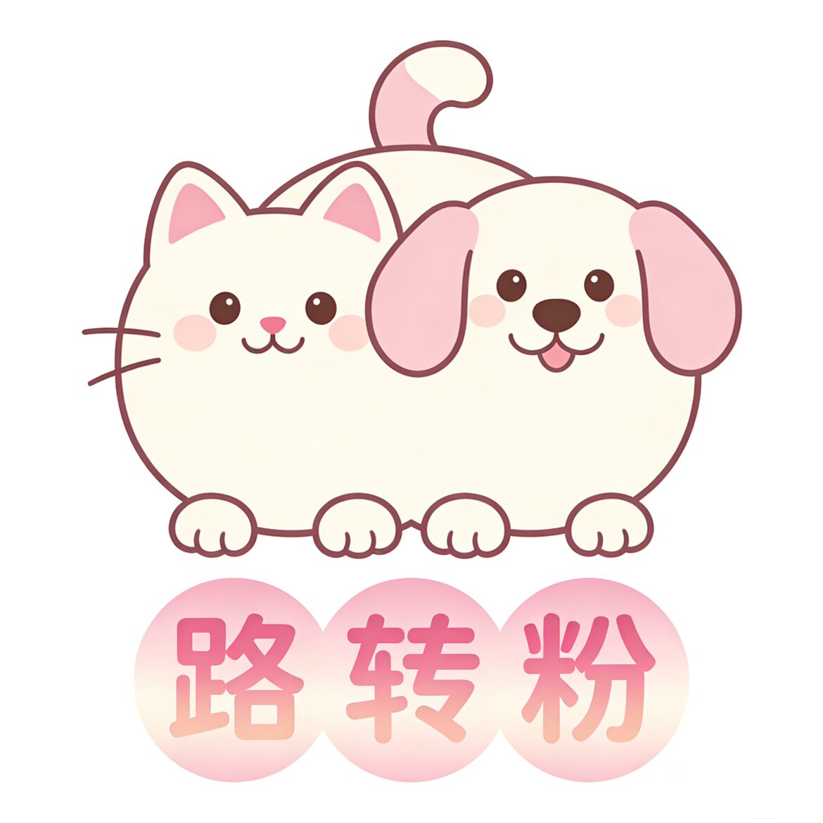 中华喵喵猫