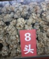 文山市远大三七经营部