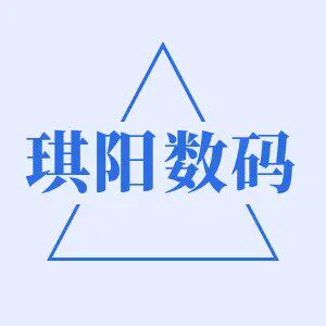 琪阳数码电子