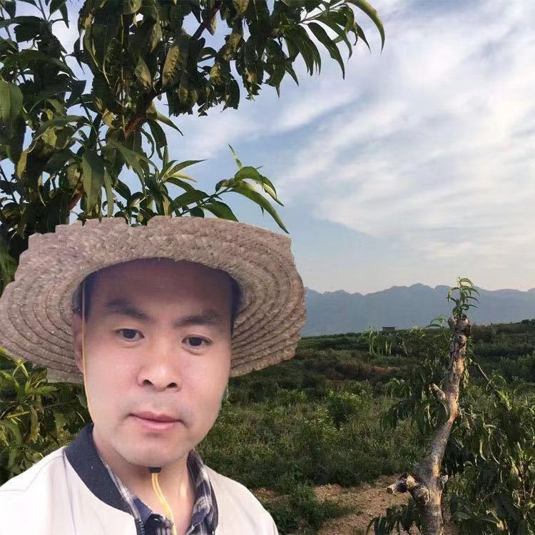 鲁香憨哥2店