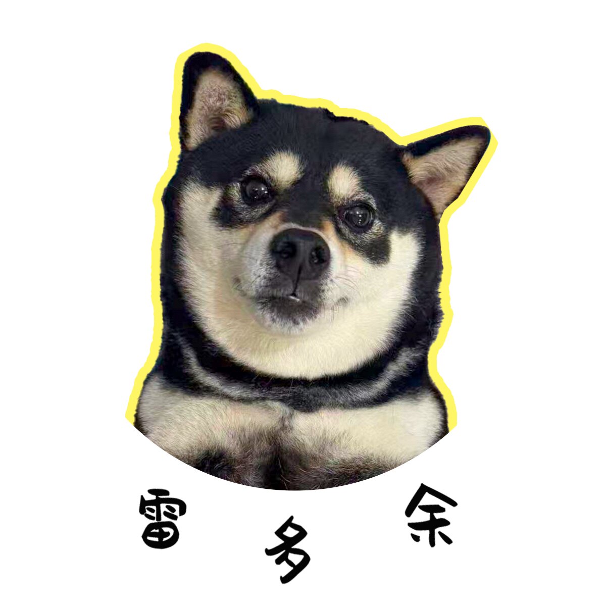 大可是代购呀