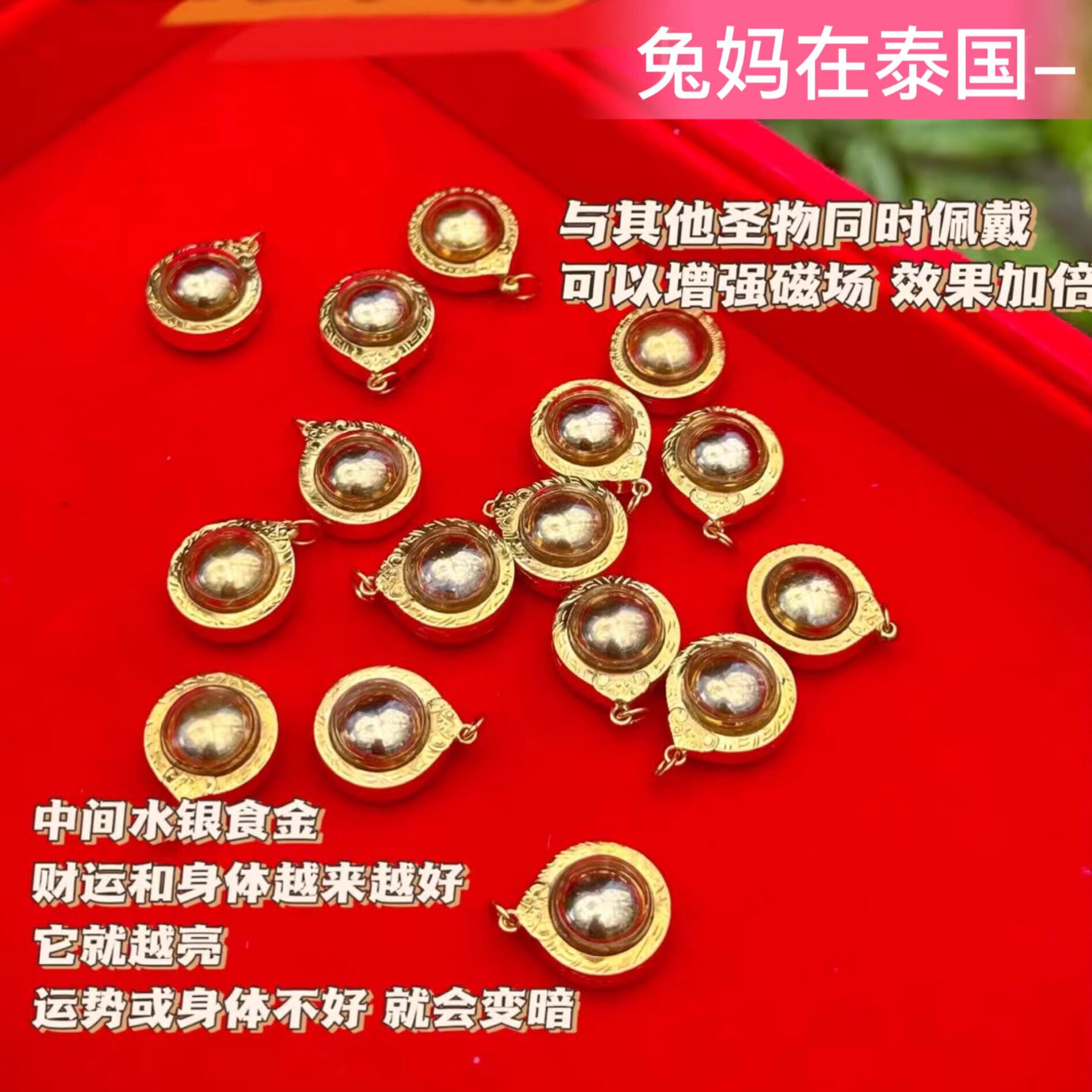 兔妈在泰国定居