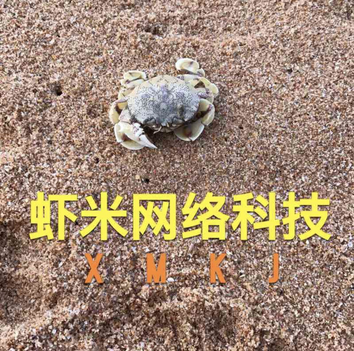 虾米科技